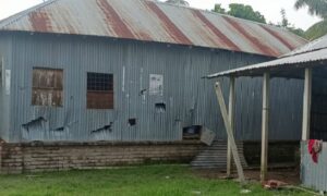 শ্রীপুরে প্রতিপক্ষের হামলায় বাড়ি-ঘর  ভাংচুর ও লুটপাট আহত- ১