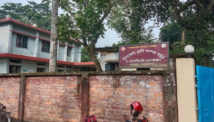 কেন্দুয়া উপজেলা প্রাণিসম্পদ হাসপাতালে মিলেনি ডাক্তার, মারা গেল কৃষকের গরু