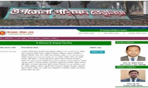 ইজারা ও নিলাম কার্যক্রমে স্বচ্ছতা আনায়নে তেঁতুলিয়ায় স্মার্ট ই-নিলাম চালু