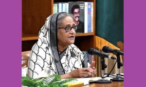 বাংলাদেশ এখনই ব্রিকসের সদস্য হওয়ার চেষ্টা করেনি : প্রধানমন্ত্রী