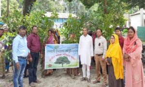 জাতীয় শোক দিবস উপলক্ষে ৩ কোটি গাছের চারা বিতরণ কর্মসূচি গ্রামীণ ব্যাংকের