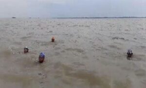 শেখ কামালের জন্মবার্ষিকী উপলক্ষে যমুনা নদীতে ৫০ কিলোমিটার সাঁতার প্রতিযোগিতা