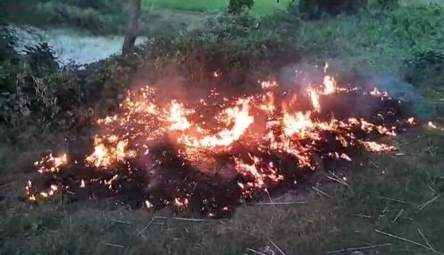 সালথায় দেশী মাছ রক্ষায় অভিযান, তিন লাখ টাকার চায়না দুয়ারি পুড়িয়ে বিনষ্ট