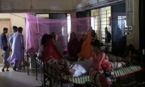 টাঙ্গাইলে ডেঙ্গুতে নারীর মৃত্যু, আক্রান্ত ২২