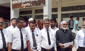 মির্জা ফখরুলকে নিয়ে অপপ্রচারের অভিযোগে ঠাকুরগাঁওয়ে মামলা