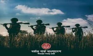 বিজিবি’র অভিযানে ১৬১ কোটি টাকার চোরাচালান পণ্য সামগ্রী জব্দ