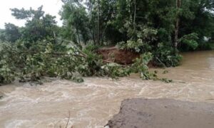 ফেনীতে বাঁধ ভেঙে প্লাবন: মুহুরী নদীর পানি বিপদসীমার উপরে
