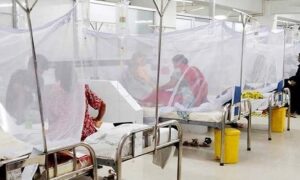 খুলনা মেডিকেল কলেজ হাসপাতালে ডেঙ্গুতে মৃত্যু ১ , মোট ভর্তি ৭২