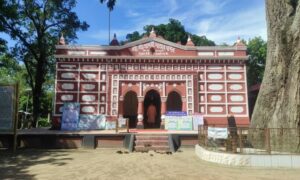 এবার মহালয়া হবে অনাড়ম্বর