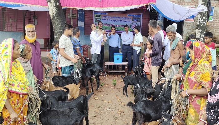 জয়পুরহাটের আক্কেলপুরে ছাগল, ভেড়ার পিপিআর ভ্যাকসিন কার্যক্রমের উদ্বোধন