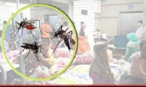 ফরিদপুরে ডেঙ্গুতে প্রাণ গেল আরও এক নারীর, হাসপাতালে ২৮২