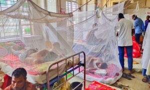 ময়মনসিংহে ডেঙ্গু আক্রান্ত হয়ে বৃদ্ধের মৃত্যু