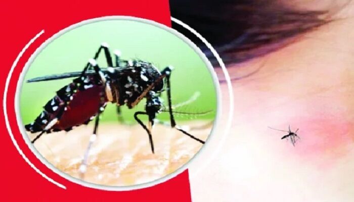 ফরিদপুরে ডেঙ্গুতে আরও ৪ জনের মৃত্যু
