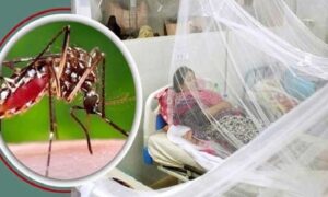 ফরিদপুরে ডেঙ্গু আক্রান্ত হয়ে দুই গৃহবধূ মৃত্যু