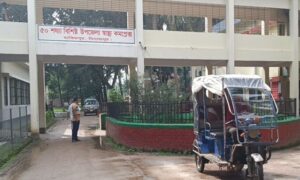 দিনাজপুরে মোটরসাইকেলের ধাক্কায় এক নারীর মৃত্যু