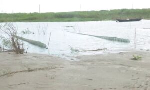 ফরিদপুরের নদ-নদীতে দেদারসে চলছে নিষিদ্ধ উপকরণে মাছ শিকারের মহোৎসব