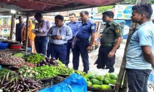 মাদারগঞ্জে কাঁচাবাজারে ভ্রাম্যমান আদালত, আলু, পেঁয়াজ ও ডিমের দোকানে জরিমানা