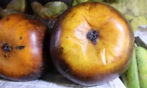 বাজারে মৌ মৌ ঘ্রাণ ছড়াচ্ছে পাকা তাল!