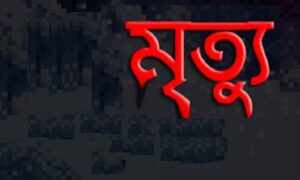 নাটোরে মায়ের হাতের খাবার খেয়ে দুই বোনের মৃত্যু