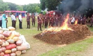 লালমনিরহাটে প্রায় সাড়ে চার কোটি টাকা মাদকদ্রব্য ধ্বংস করল বিজিবি