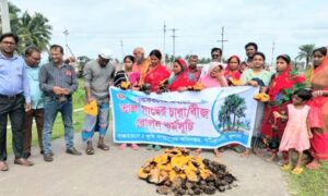 বটিয়াঘাটায় পরিবেশের ভারসাম্য ও বজ্রপাত থেকে রক্ষায় তালের আঠি রোপন