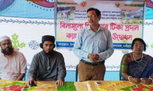 বগুড়া নন্দীগ্রামে ছাগল-ভেড়ার ভাইরাস প্রতিরোধে টিকা কার্যক্রম