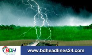 শেরপুরে ঘাস কাটতে গিয়ে বজ্রপাতে কৃষকের মৃত্যু