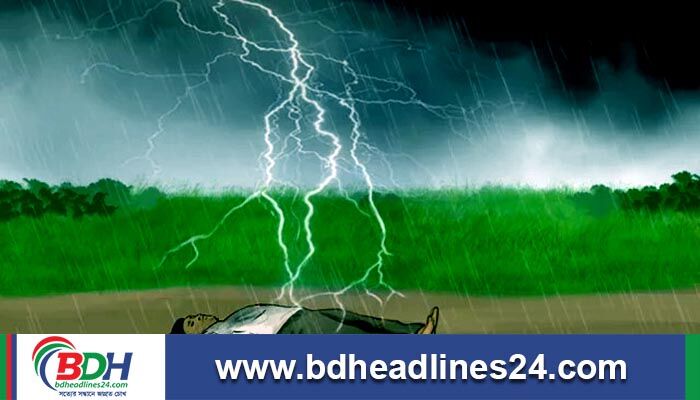 শেরপুরে ঘাস কাটতে গিয়ে বজ্রপাতে কৃষকের মৃত্যু