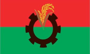 অক্টোবর-নভেম্বরকে ঘিরে কী পরিকল্পনা বিএনপির?