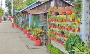 দুর্গন্ধের নগরীতে সবুজ কলোনি এখন ঝকঝকে