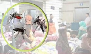 ফরিদপুরে ডেঙ্গুতে নারীসহ মৃত্যু ২, নতুন রোগী ভর্তি ২’শ ৪৬ জন