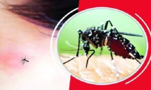 ফরিদপুরে কোনোভাবেই থামছেনা ডেঙ্গুর মৃত্যুর মিছিল, আরও ৪ জনের মৃত্যু