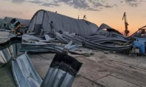 দক্ষিণ ওডেসা অঞ্চলে ২২টি রুশ ড্রোন ধ্বংস করেছে ইউক্রেন বিমানবাহিনী