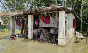 জামালপুরে ৫হাজার মানুষ পানি বন্ধি,যমুনার পানি বিপদসীমার ১৯ সেন্টিমিটার উপরে