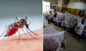 খুলনায় ডেঙ্গুতে আরো এক নারীর মৃত্যু