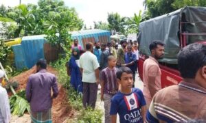 টাঙ্গাইলের ধনবাড়িতে কাভার্ডভ্যন চাপায় নিহত ২
