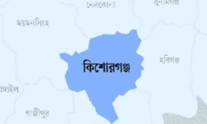 কিশোরগঞ্জে গলায় পেয়ারা আটকে শিশুর মৃত্যু