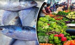 দাকোপে মানবিক কল্যাণে প্রশাসনকেও এগিয়ে আসার অনুরোধ জানিয়েছেন: গাজী নাজমুল হাসান