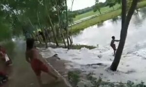 বুকচিরে বয়ে যাওয়া শোলমারী নদী ব্যাপক ক্ষতির আশঙ্কা