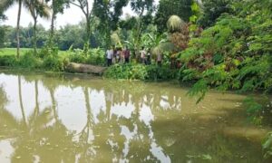 শেরপুরে নিখোঁজের পর পুকুর থেকে শিশুর মরদেহ উদ্ধার