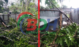 ফরিদপুরে এক মিনিটের ঘুর্ণিঝড়ে ৬ গ্রাম লন্ডভন্ড