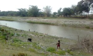 ফরিদপুরে ছেলের সামনেই কুমার নদে ডুবে মারা গেলেন বাবা!