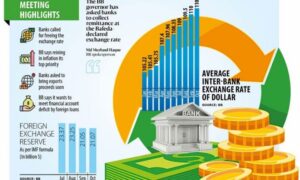 বাজার-চালিত বিনিময় হার জাতীয় নির্বাচনের আগে নয়