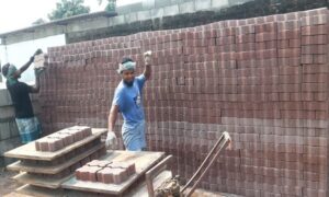 মাটি ছাড়াই তৈরি হচ্ছে ইট, টেকশই ও পরিবেশ বান্ধব