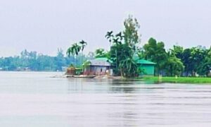 প্রবল স্রোতে তিস্তার পানি বৃদ্ধি আতঙ্কিত  দুই পাড়ের মানুষ
