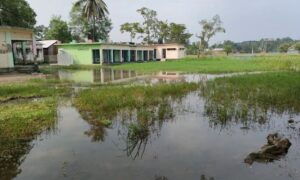 ফরিদপুরে স্কুল ও মসজিদের মাঠে পানি, পানিবন্দি ৩০ পরিবার