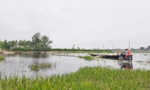 ধরলা নদীতে সেতু না হওয়ায় ১৭টি গ্রামের মানুষের ভোগান্তির শেষ নেই