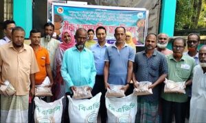 ফুলবাড়ীতে বিনামূল্যে কৃষকদের মাঝে বীজ ও সার বিতরণ