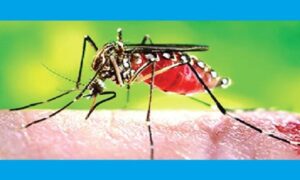 ফরিদপুরে ডেঙ্গুতে প্রাণ গেল আরও ১ নারীর, হাসপাতালে ২৫১