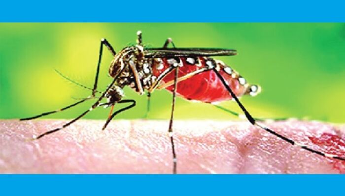 ফরিদপুরে ডেঙ্গুতে প্রাণ গেল আরও ১ নারীর, হাসপাতালে ২৫১